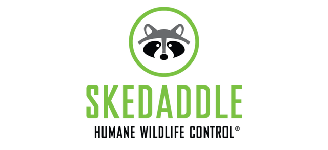 Skedaddle logo