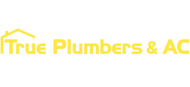 True Plumbers logo