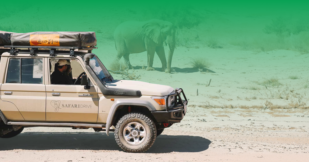 Safari Drive