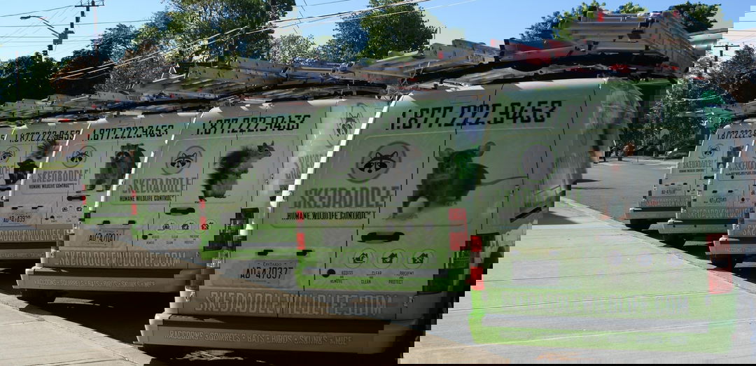 Skedaddle banner image