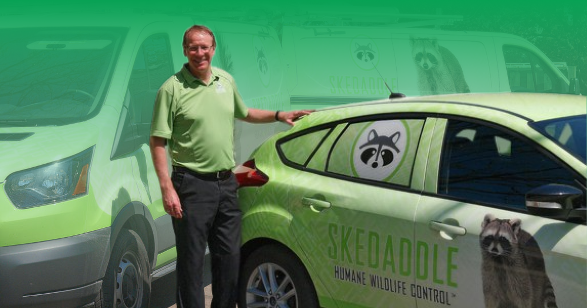 Skedaddle Humane Wildlife Control