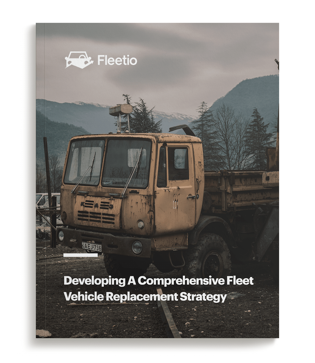 Developing a Comprehensive Fleet Vehicle Replacement Strategy